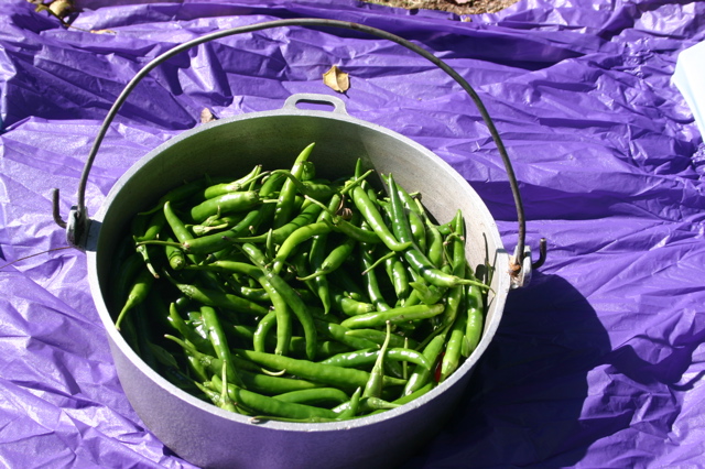 hot green peppers