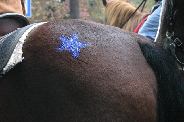 horse butt with blue star