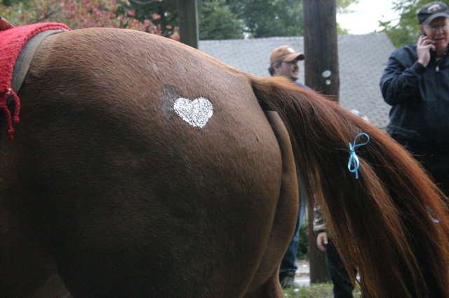 Heart on horse butt