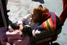 girl and dog in a stroller